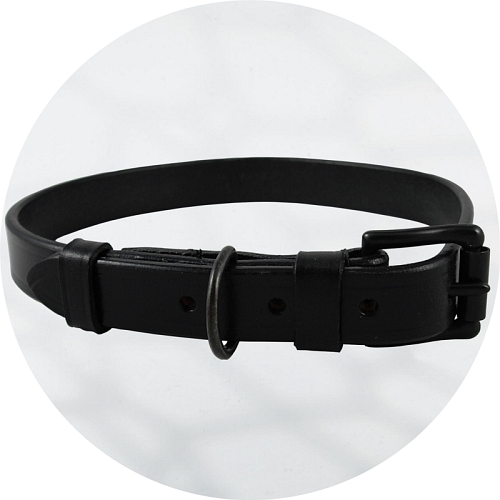 Audenham Black English Bridle Leather and Black Stainless Steel Dog Collar 19mm/0.75