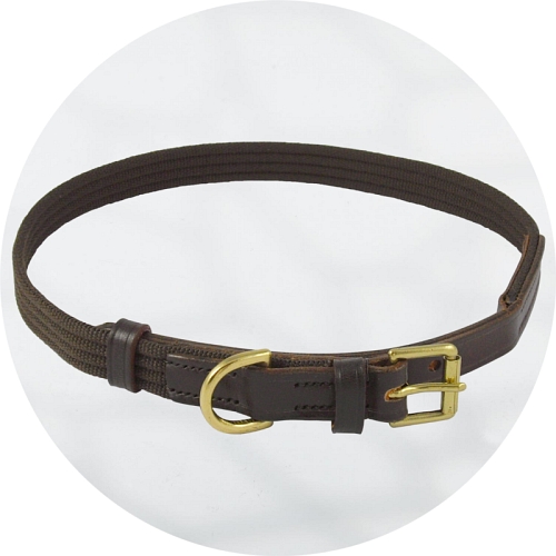 Brown English Bridle Leather Dog Collar Brown Webbing and Polished Brass