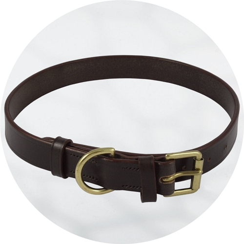 Audenham Brown English Bridle Leather and Polished Brass Dog Collar 25mm/1