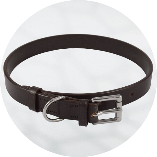 Audenham Brown English Bridle Leather and Stainless Steel Dog Collar 19mm/0.75