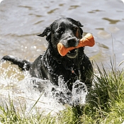 Herm Sprenger Retrieval and Floating Toys