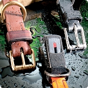 Sprenger Biothane Collars and Leads