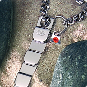 Neck Tech Sport Prong Collars